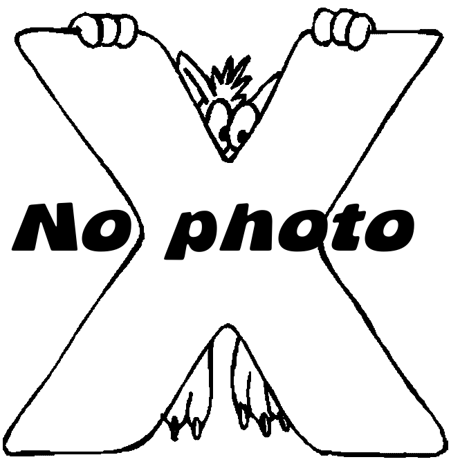 XL - Ehnergui